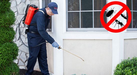 Bingöl Kene İlaçlama böcek ilaçlama ve haşere kontrolü — ilaclama-tr.com